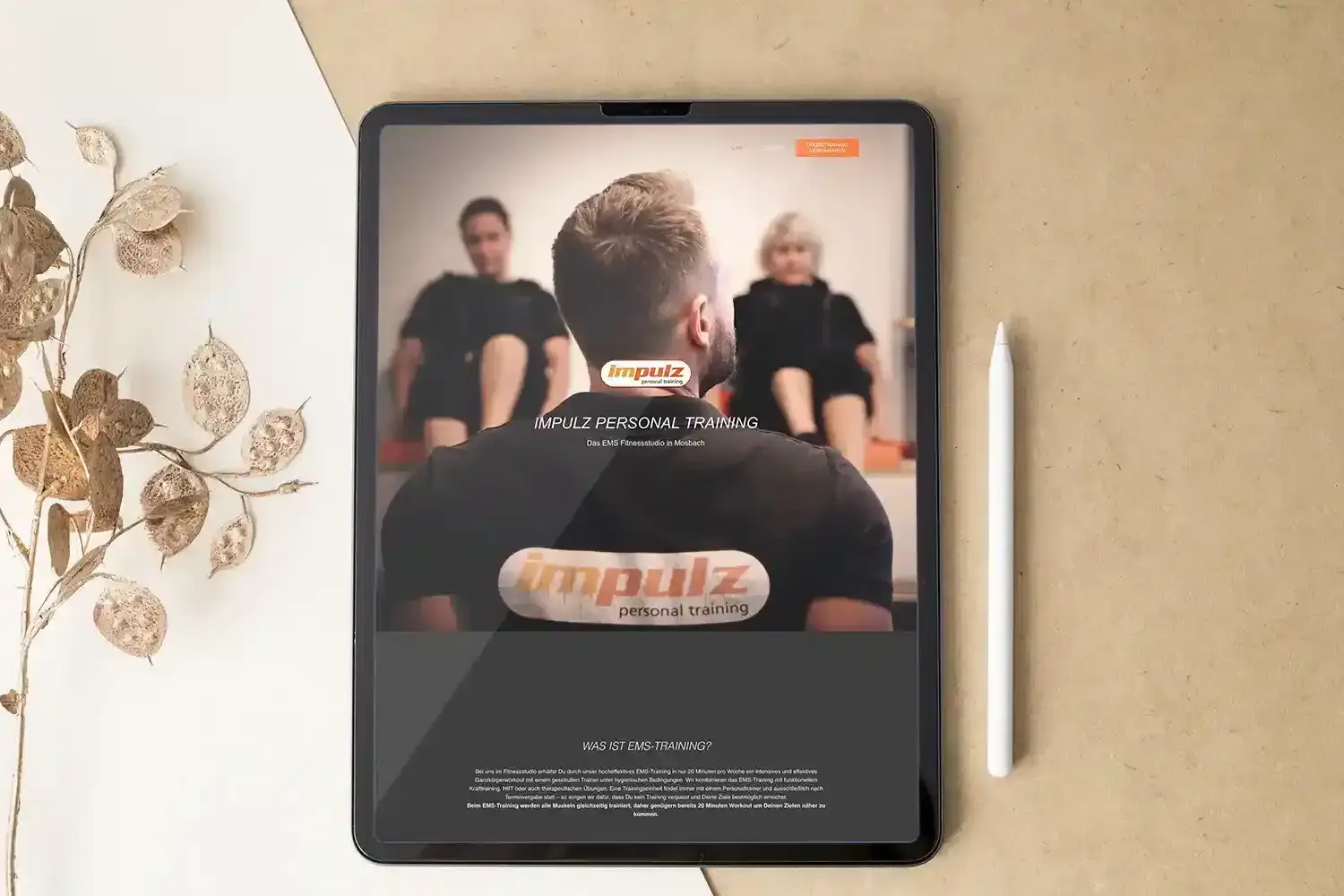 Webdesign Mosbach Impulz