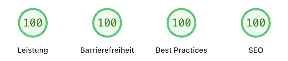 helmstaedter.digital | Werbeagentur Mosbach | Webdesign Mosbach | page insights 100 100 100 100